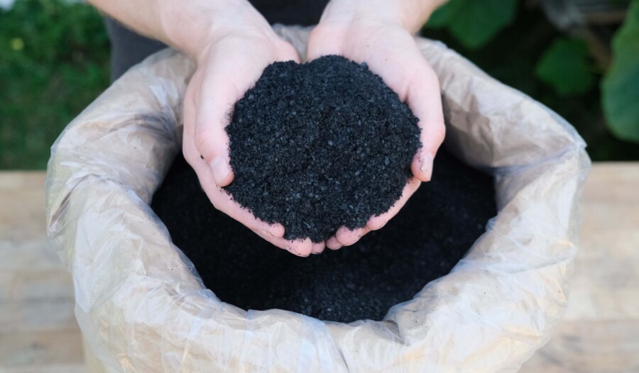 Header Pflanzenkohle